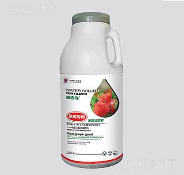 草莓專用美果增甜液-紅葡萄