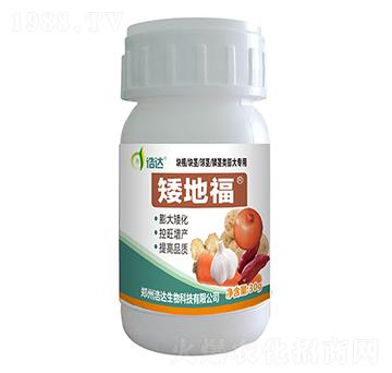 矮地福-浩達生物