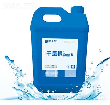千層根-蘇貝爾