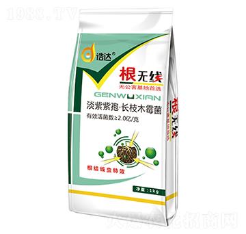 淡紫紫孢·長治木霉菌-根無線-浩達(dá)生物