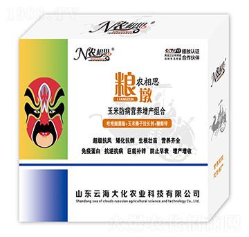 玉米防病營養(yǎng)增產組合-農相思·糧墩-云海大化