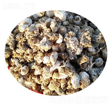 鵪鶉糞-碩田生物