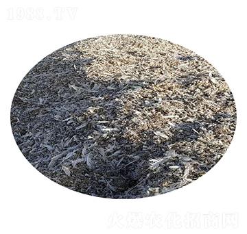 鴿子糞-圣田生物