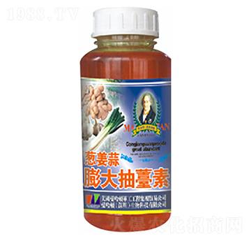 �[��������޷��-�»�