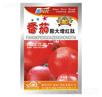 ����������t��-�»�