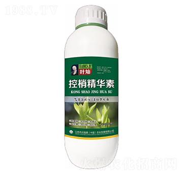 ���Ҿ��A��-�»�