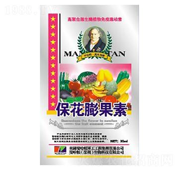 ���������-�»�