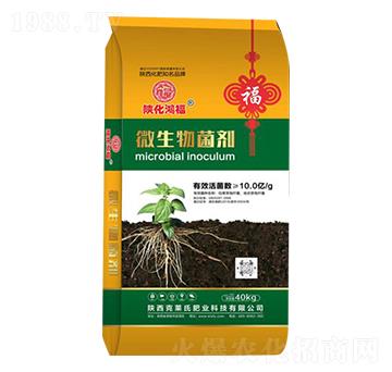 10.0�|΢�������-���R��