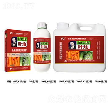 蘿卜氨基酸菌素長效液肥-葉燦-德化