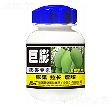 芒果膨果專家-巨膨-德化