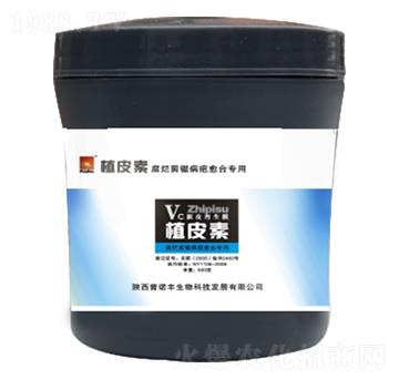 ŲϲֲƤ��-���Z�S