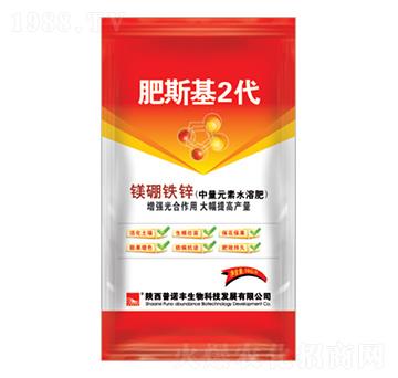 �V���F�\-��˹��2��-���Z�S