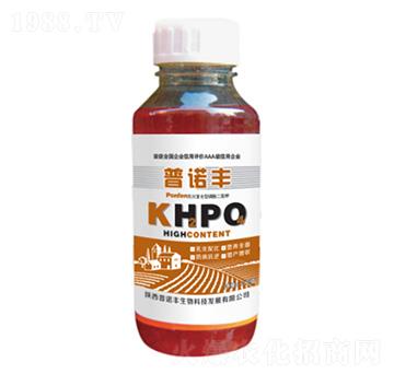 �黯��(f��)������������-���Z�S