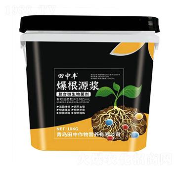 復(fù)合微生物菌劑-爆根源漿-田中作物