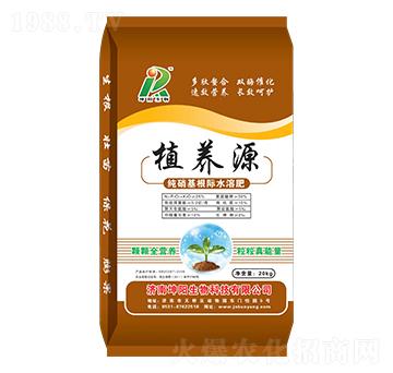 植養(yǎng)源純硝基根際水溶肥-坤陽(yáng)生物