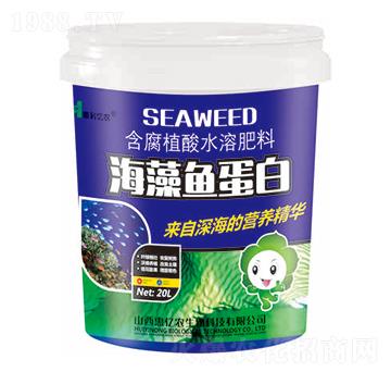 海藻魚蛋白-惠億農