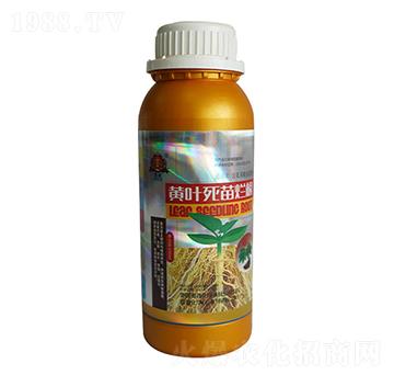 黃葉死苗爛根-聯(lián)普化學(xué)