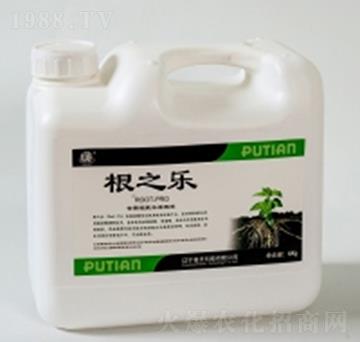 根之樂-普天科技