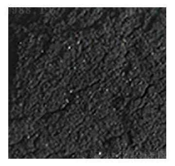 腐植酸腐納-深奧科技