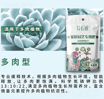 多肉型家庭園藝專(zhuān)用肥-花匠鋪-百鎂