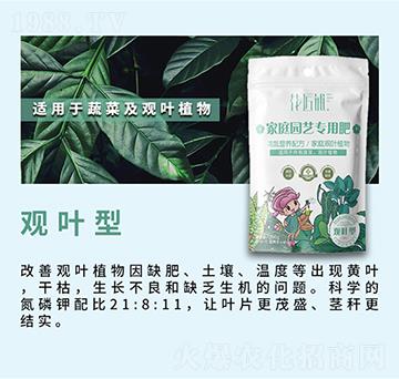 觀葉型家庭園藝專用肥-花匠鋪-百鎂