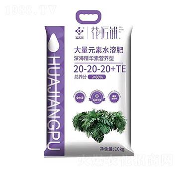 ����A�ؠI(y��ng)�B(y��ng)�ʹ���Ԫ��ˮ�ܷ�20-20-20+TE-�����-���V