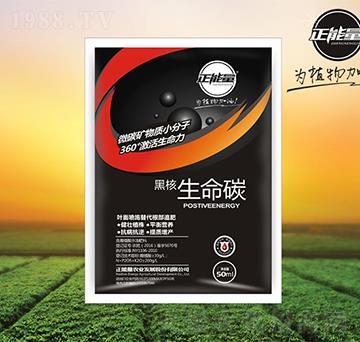 黑核生命碳-正能量
