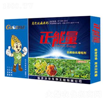 �𻨌�(zhu��n)�ÿ������L(zh��ng)���ք�-������