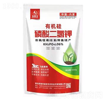 �ЙC(j��)����������-�l(f��)ؔ(c��i)��