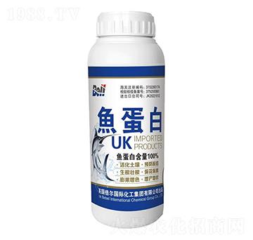 �M(j��n)���~����-Ӣ������-�տ���