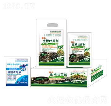 強(qiáng)力生根壯苗劑+基因誘導(dǎo)素-沃迪久