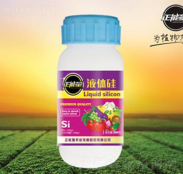 Һ�w��-������