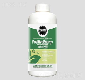 1300g�����}�V-������