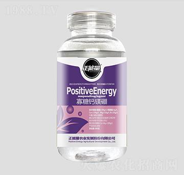 300g�����}�V��-������