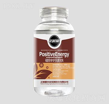 300g���\�}�V�F-������