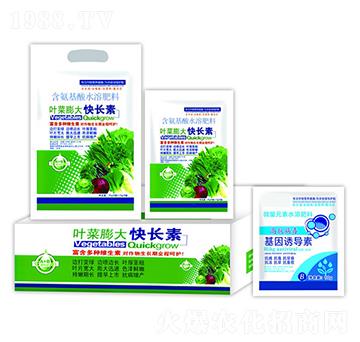 葉菜膨大快長素+基因誘導(dǎo)素-沃迪久