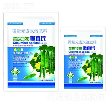 微量元素水溶肥-黃瓜頂花嫩直長-沃迪久