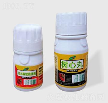 樹(shù)木導(dǎo)管疏通劑-樹(shù)心丸-飄綠