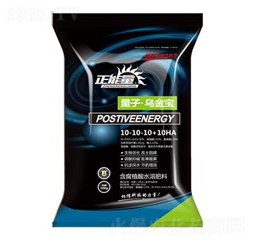 ƽ���ͺ���ֳ��ˮ�ܷ���10-10-10+10HA-���Ӟ�����-������