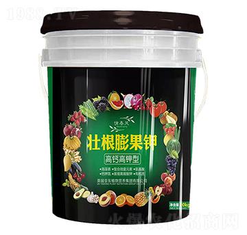 ���}����͉Ѹ�����-���|����