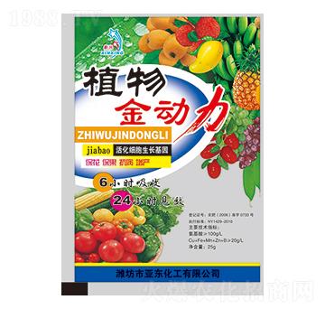 ֲ�����(d��ng)��-���d-���|����