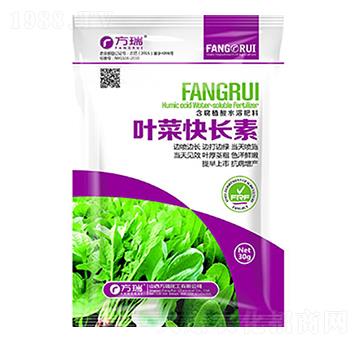 �~�˿��L��-����