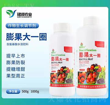 膨果大一圈-珺顏農業(yè)