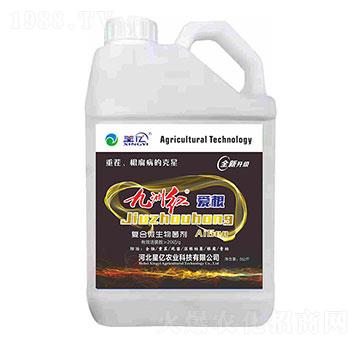 復(fù)合微生物菌劑-九州紅愛(ài)根-星億農(nóng)業(yè)