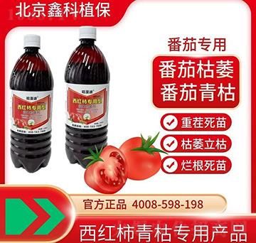 ���t����(zhu��n)����΢�������-�ο�ֲ��