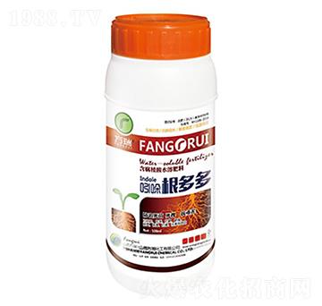 ��������-����