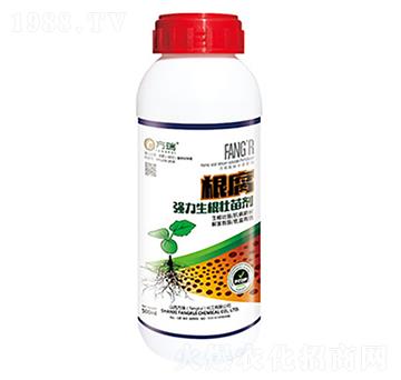 ���������������焩-����