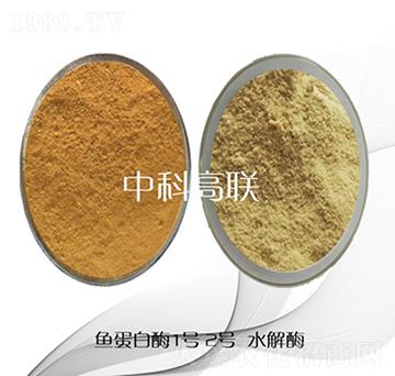 魚蛋白水解酶-中科高聯(lián)