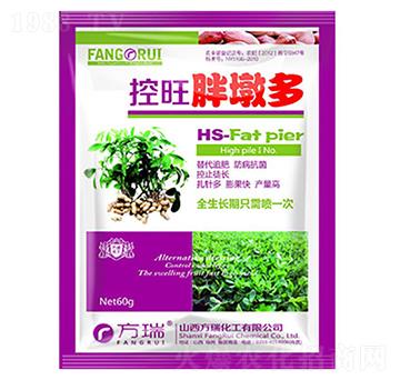 ���������ֶն�-����