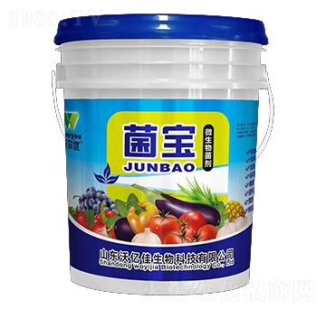 ΢�������-����-�֠���(y��u)